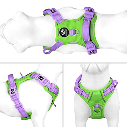 No Pull Dog Harness (Green Base & Purple Straps / Extra Large)