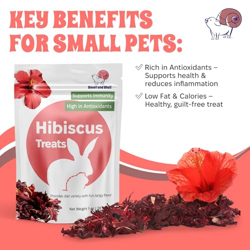 Hibiscus Treats