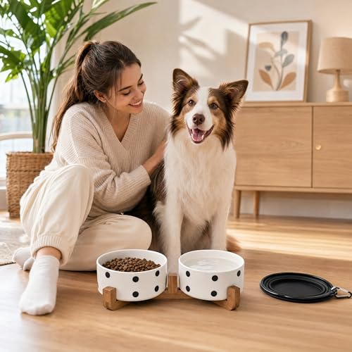 Ceramic Dog Bowl Set with Stand (Black Dot / 400ML*2)