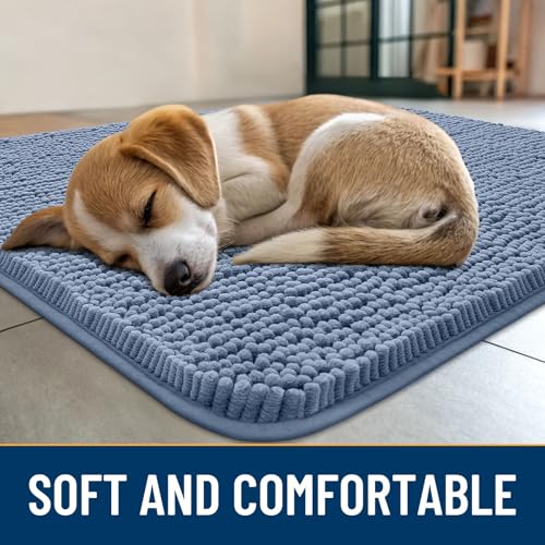 Dog Door Mat for Muddy Paws 47x20 (Airy Blue / 47"X20")