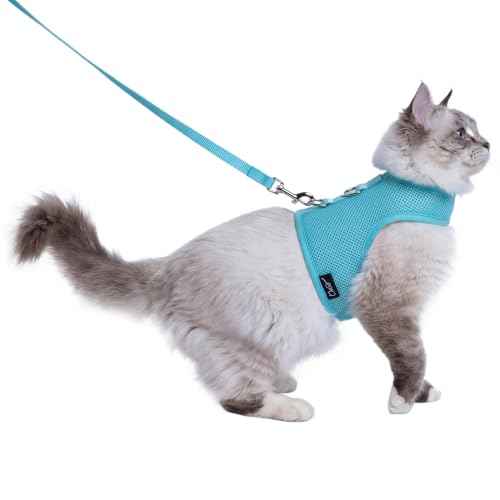 Cat Harness and Leash Set for Walking Escape Proof (Turquoise / M 5.5-9 lbs)