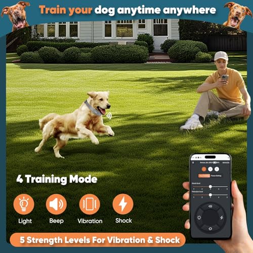 GPS Wireless Dog Fence (Grey)