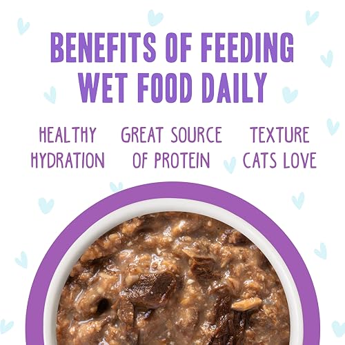 B.F.F. OMG Best Feline Friend Oh My Gravy! (2.8 Ounce (Pack of 12))