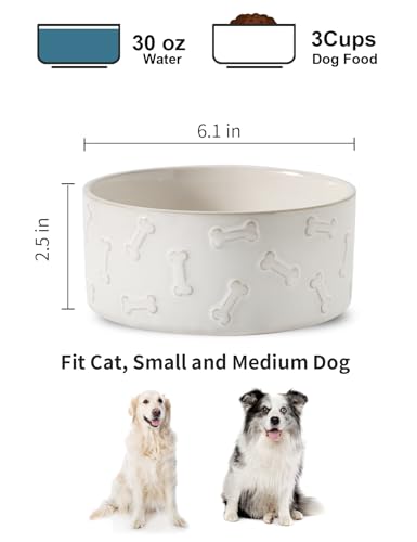 Ceramic Dog Bowl Set of 2 (6.1 in-Medium)