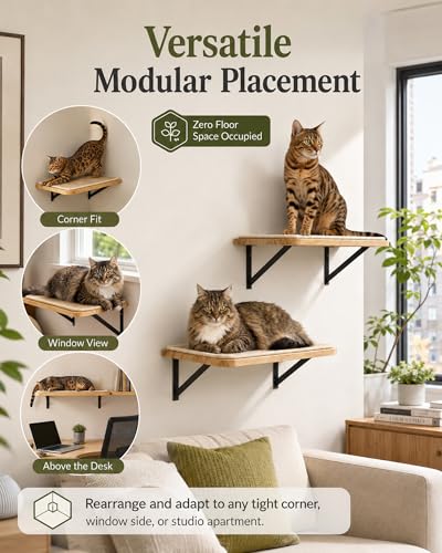 Cat Floating Wall Shelf with Scratching Mat