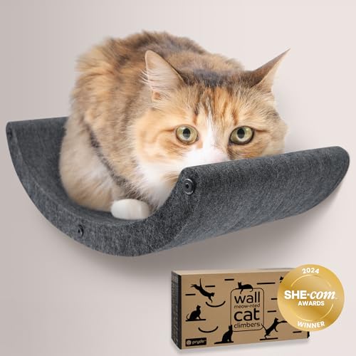 Cat Wall Shelf (Charcoal / 1 Curved Cat Climber)
