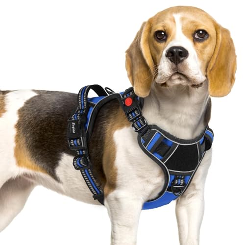 Dog Harness No Pull for Small Dogs (Small / Blue & Black)