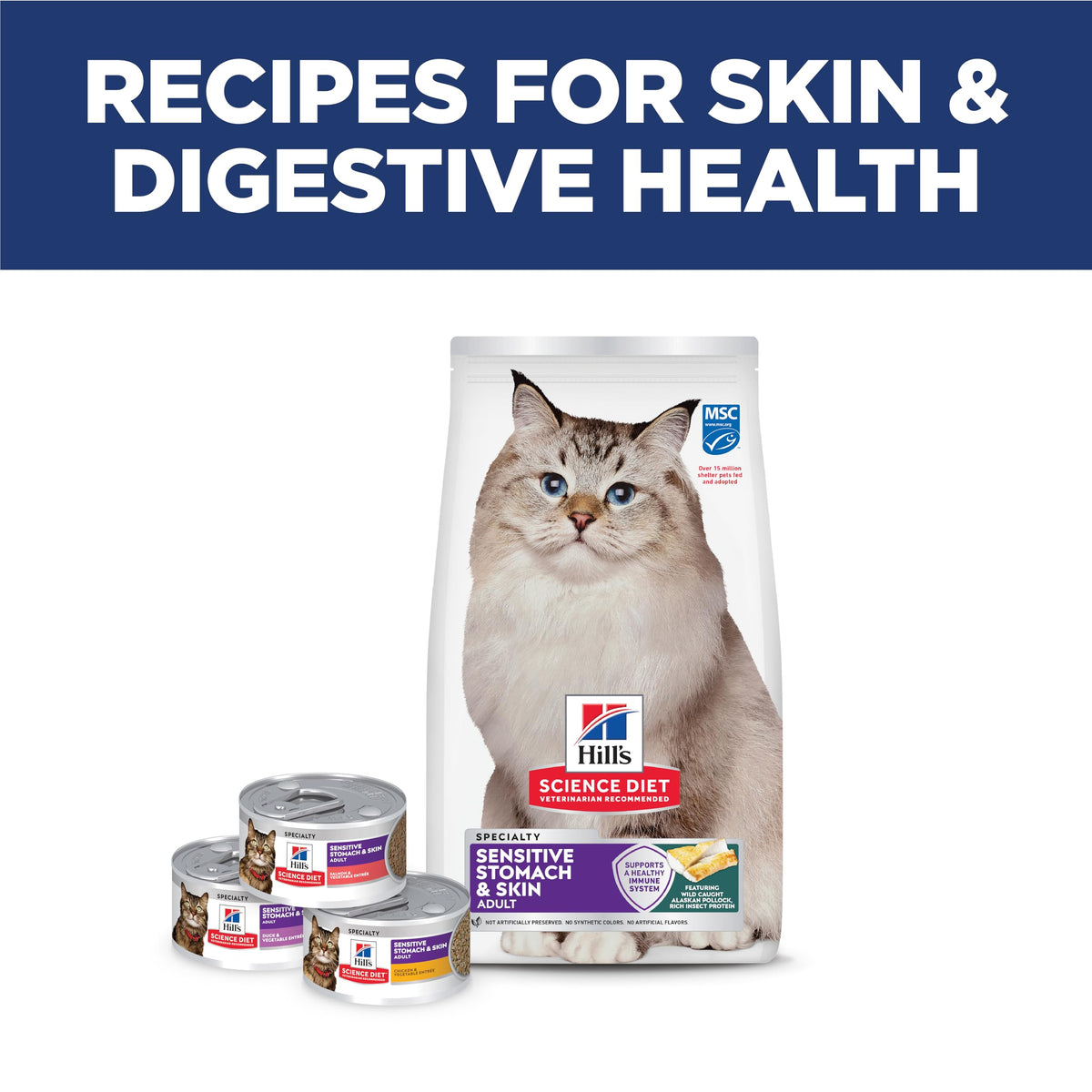 Sensitive Stomach & Skin Dry Cat Food (3.5 Pound (Pack of 1))