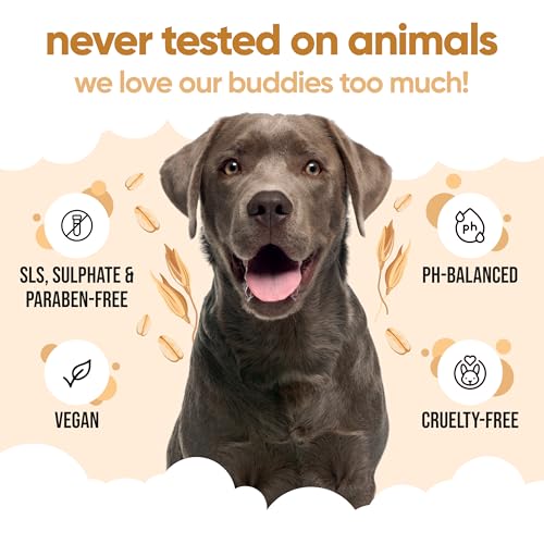 Oatmeal Dog Shampoo by Buddycare (50.72oz)