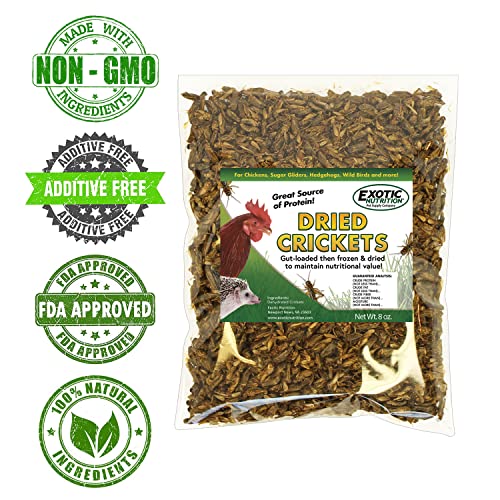 1.5 Pound Dried Crickets