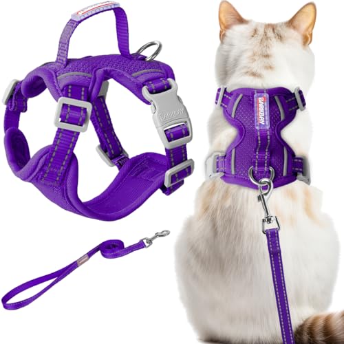 Cat Harness and Leash Set Escape Proof for Kitten Walking (Small / Purple)