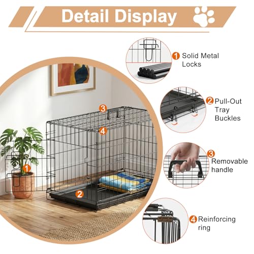 30" Foldable Metal Dog Crate (Black)