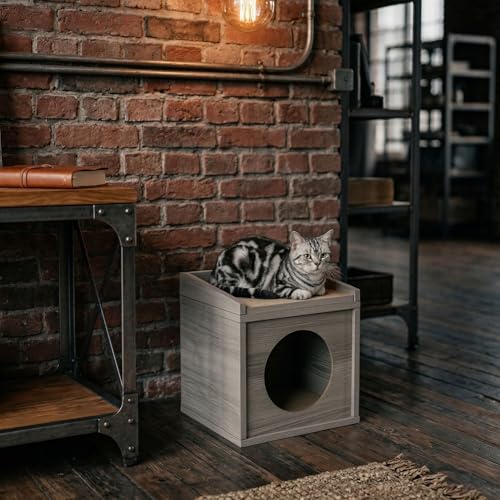 Meowdium Cat House for Indoor Cats (Greywood)