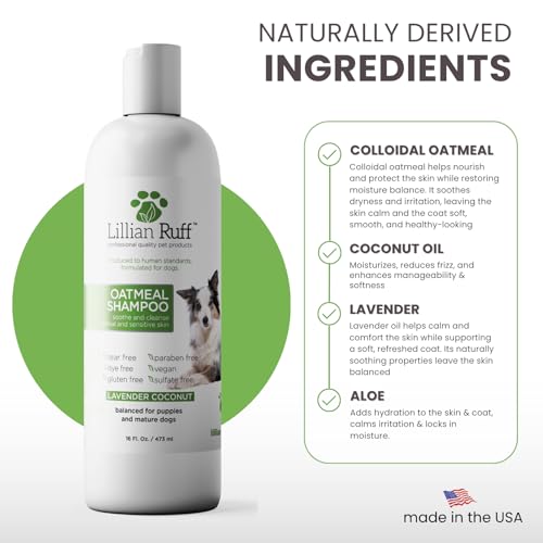 PRO Formula Deodorizing Oatmeal Dog Shampoo