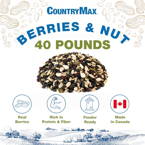 Backyard Seeds 40LB Berries 'n Nut Blend Bird Seed Mix (Berries & Nut / 40 Pound (Pack of 1))