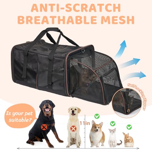 Double Cat Carrier for 2 Cats (Black)