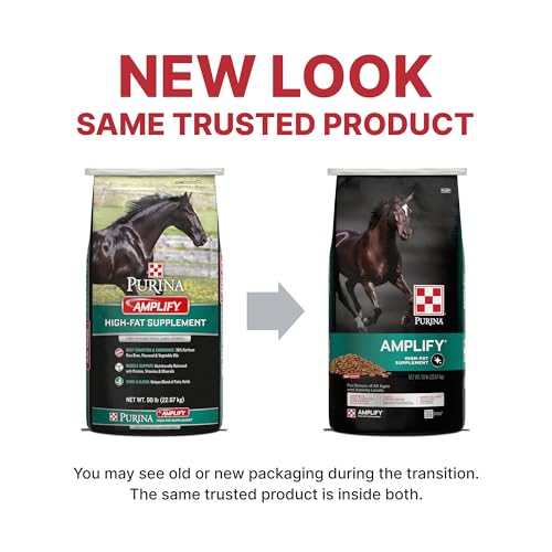Amplify Equine (One Size)