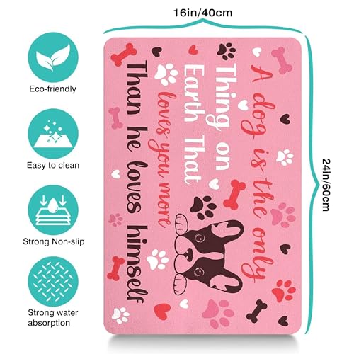 Pet Feeding Mat for Floors Waterproof Dog Mat for Food and Water Absorbent Quick Dry Non Slip mat for Cat Bowls (24"L x 16"W / Pink)