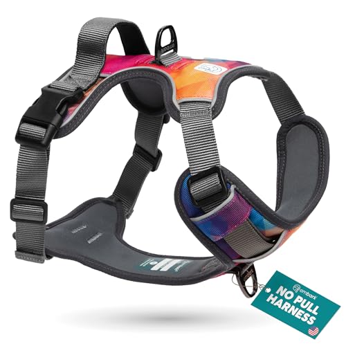 Embark No Pull Dog Harness (S / Aurora)
