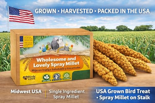 1 LB Wholesome Spray Millet for Birds (1 Pound (Pack of 1))
