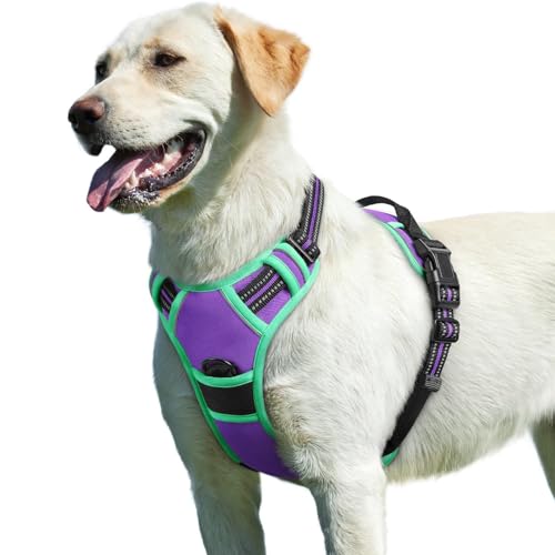 Dog Harness for Large Dogs (Large / Purple & Turquoise)