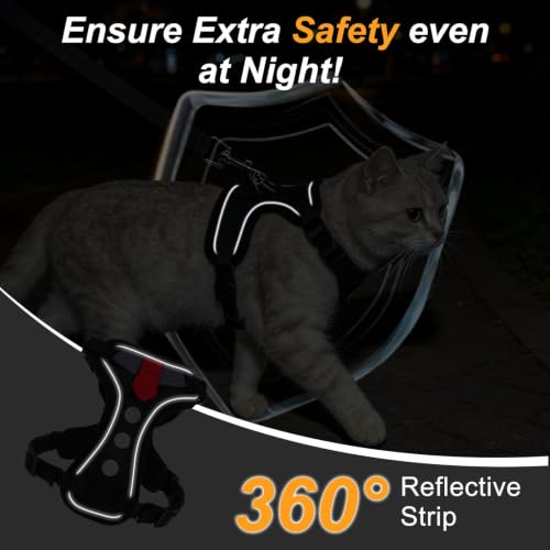 Cat Harness and Leash (Black Suit / Medium (Chest: 16 - 20"))