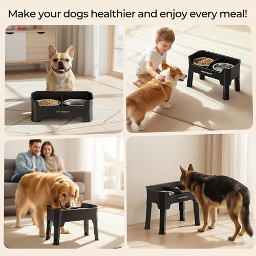 Mess Proof Elevated Dog Bowls (Black / Medium)
