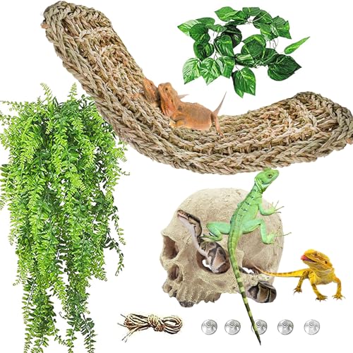 Bearded Dragon Terrarium Skull Decoration