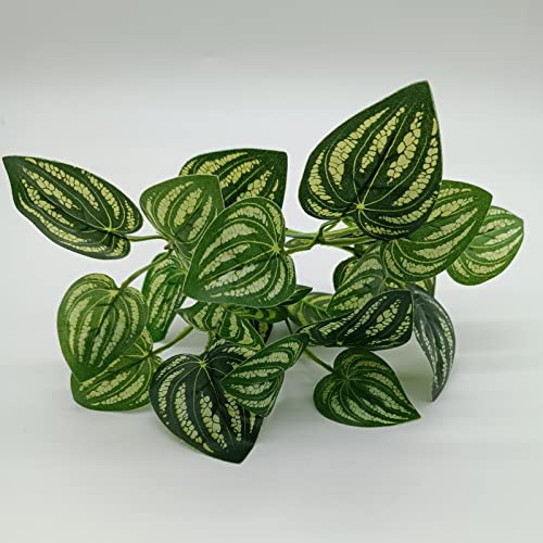 Reptile Plants for Bearded Dragon Tank Accessories (Group Bpn)