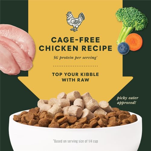 Freeze Dried Mixers (6 Ounce (Pack of 1))
