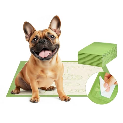 Pee Pads for Dogs 19"X30" with Adhesive 10 Count (19"x30"(10Ct))