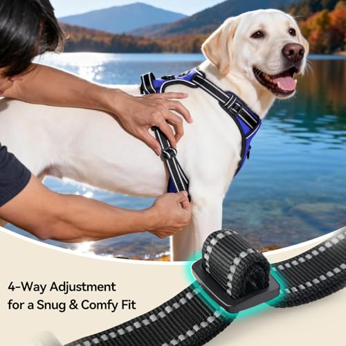 No Pull Dog Harnesses for Small Puppies Reflective Adjustable (Extra Large / Royal Blue)
