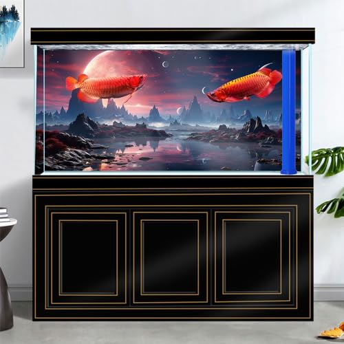 24X12IN Cosmic Spaceterrarium Background (space01 / 24X12in/60X30cm)