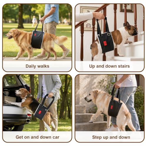 Dog Lift Harness (XL)