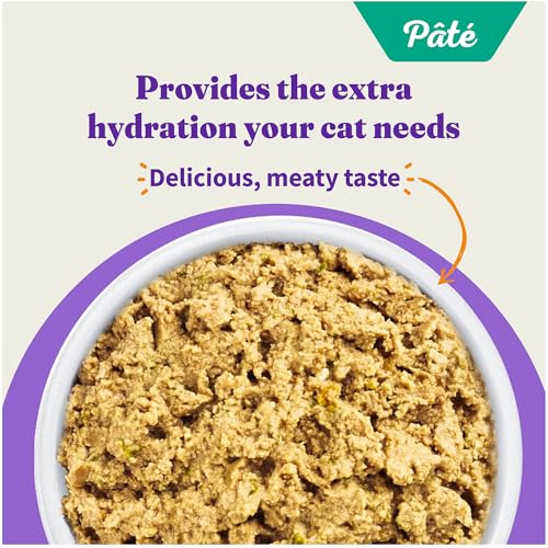 Pate Wet Cat Food