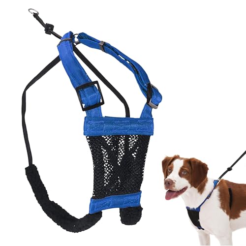 No Pull Dog Harness (Medium / Blue)