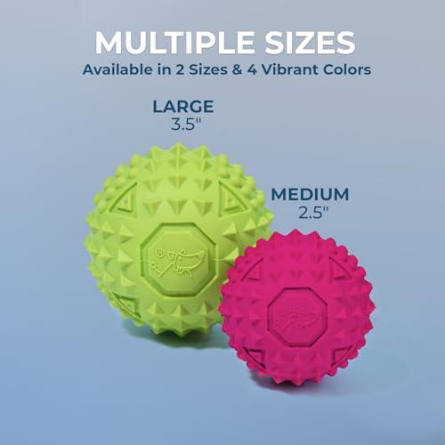 Interactive Squeaky Dog Chew Toy (Spiky Ball (Blue, Orange) / Large)