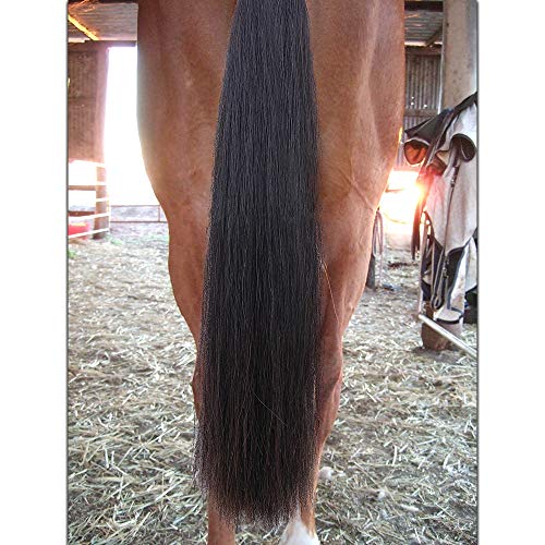 Horse Tail Extensions with Braided Horsehair Loop (1 Pound (34"-36") / Natural Black)