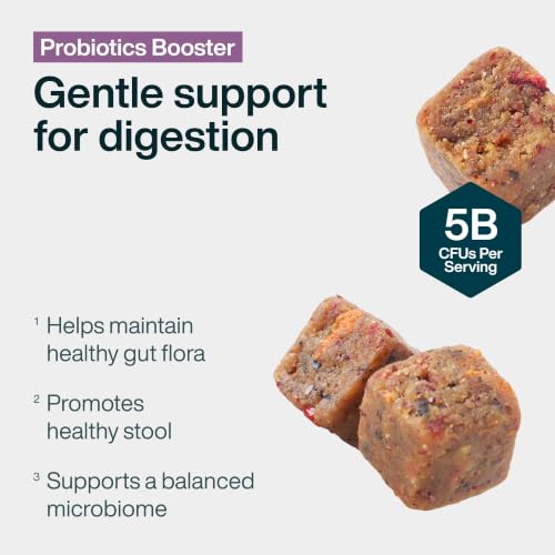 Probiotic Booster Supplements for Dogs (Probiotic Booster)