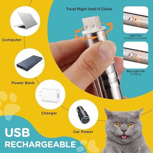 Cat Toy for Indoor (Rose Gold)
