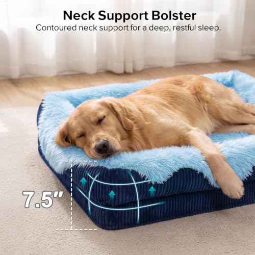 Orthopedic Dog Bed Extra Large Sized Dog (Blue / 44"L x 31"W x 7"T)