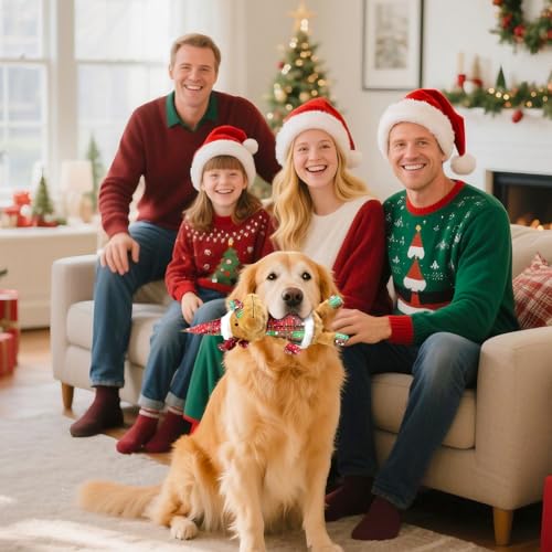 Christmas Dog Toy Squeaky Interactive Dog Toys Indoor Outdoor Play (JM deer)