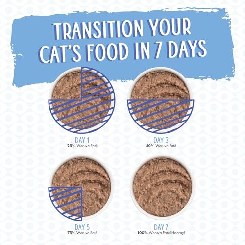 Wet Cat Food Meal or No Deal with Chicken and Beef Pate