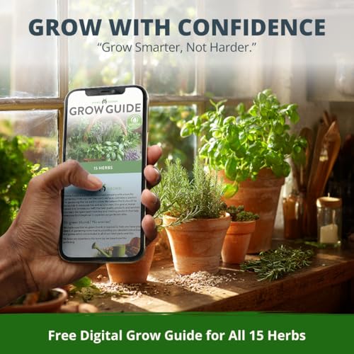 15 Culinary Herb Seeds