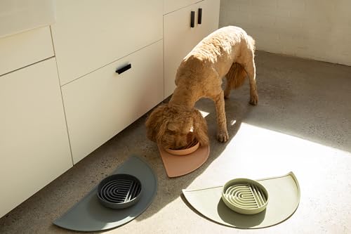 Silicone Dog Food Mat (Sage Green / Medium)