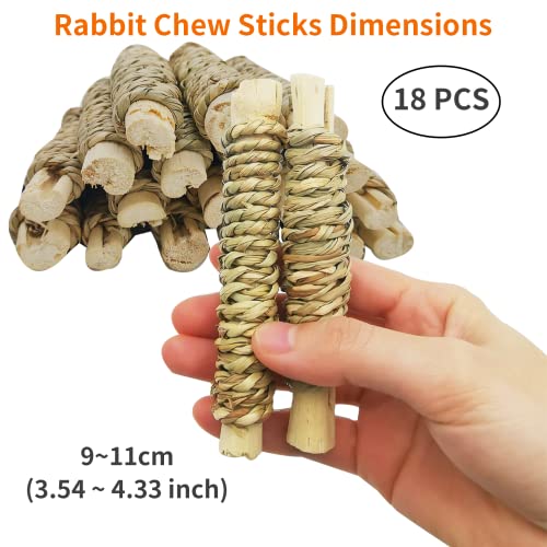 18 PCS Guinea Pig Chew Toys