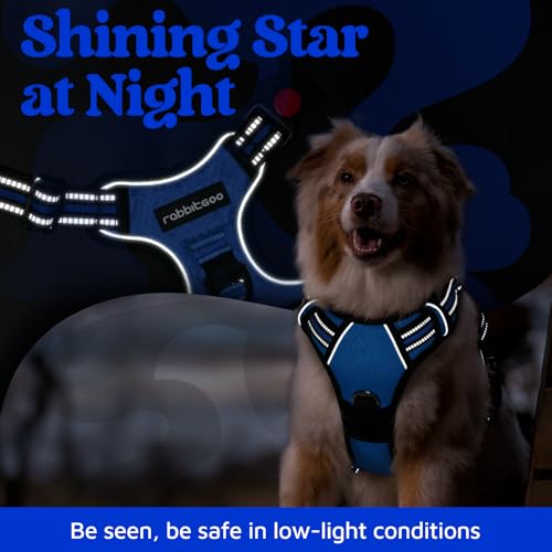 Dog Harness for Large (Royal Blue / X-Large)