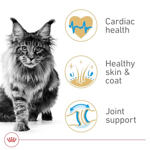 Feline Breed Nutrition Maine Coon Adult Dry Cat Food (14 Pound (Pack of 1))