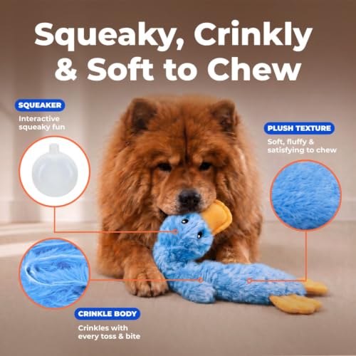 Interactive Squeaky Dog Toy (Crinkle Duck (Blue) / Large)