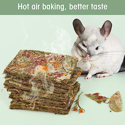 Rabbit Natural Treats (0.3 Ounce (Pack of 10))